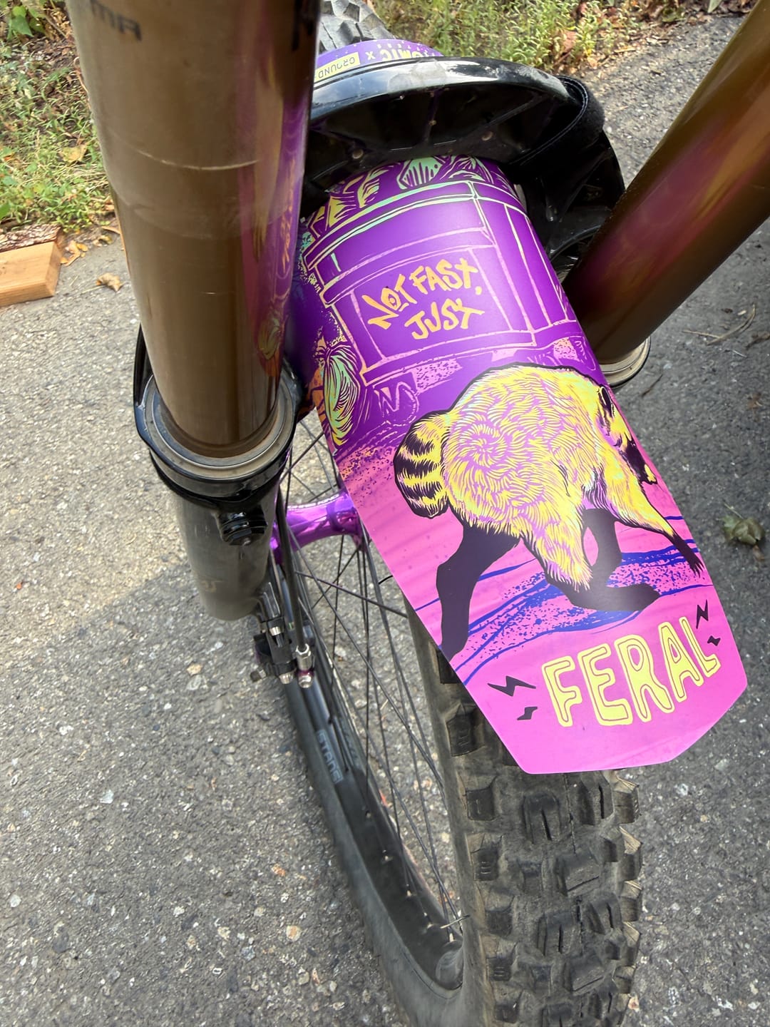 Customer photo review of Jimothy Topcap