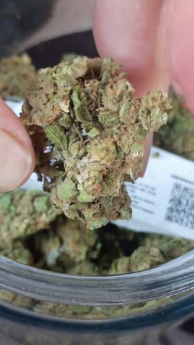 Customer photo review of Lava Cake - 28 Grams - Indica
