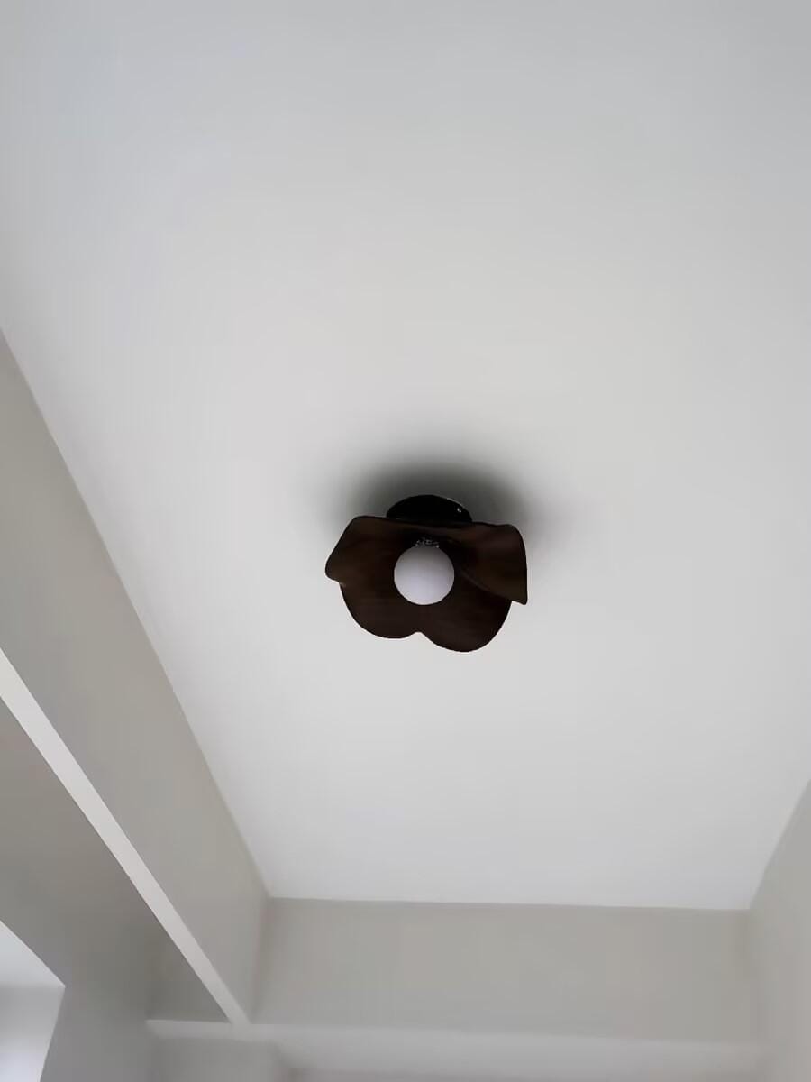 Customer photo review of Flush Mount Ceiling Light, Wood-Grain Leaf Shade, White, G9, Lotus