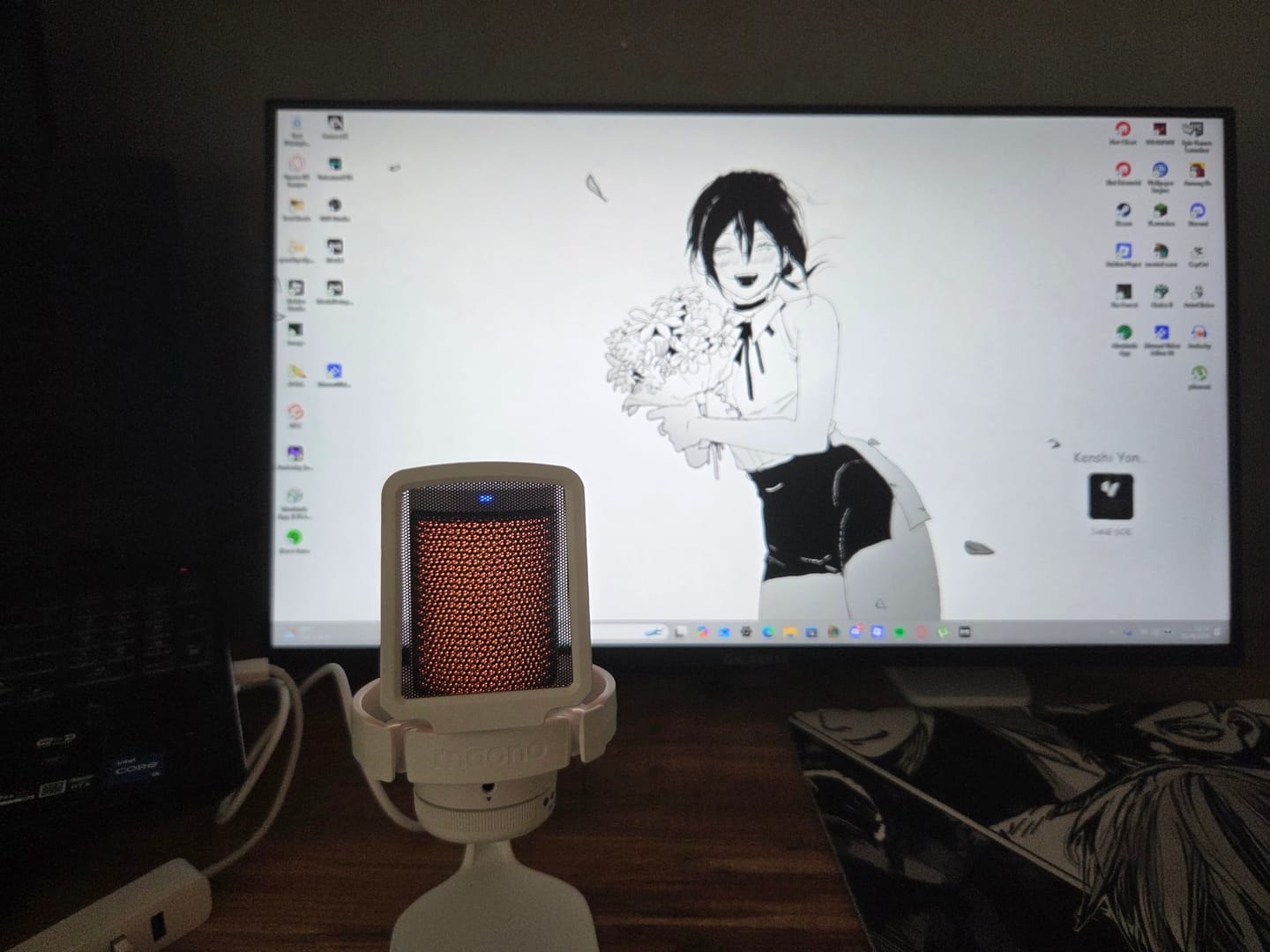 Customer photo review of Maono DGM20 Condenser USB Mikrofon