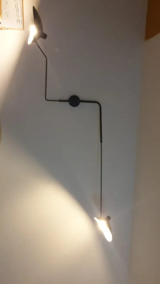 Customer photo review of Wall Sconce, Spider Long-Arm, Rotating Shade, Metal and Brass, E26 / E27