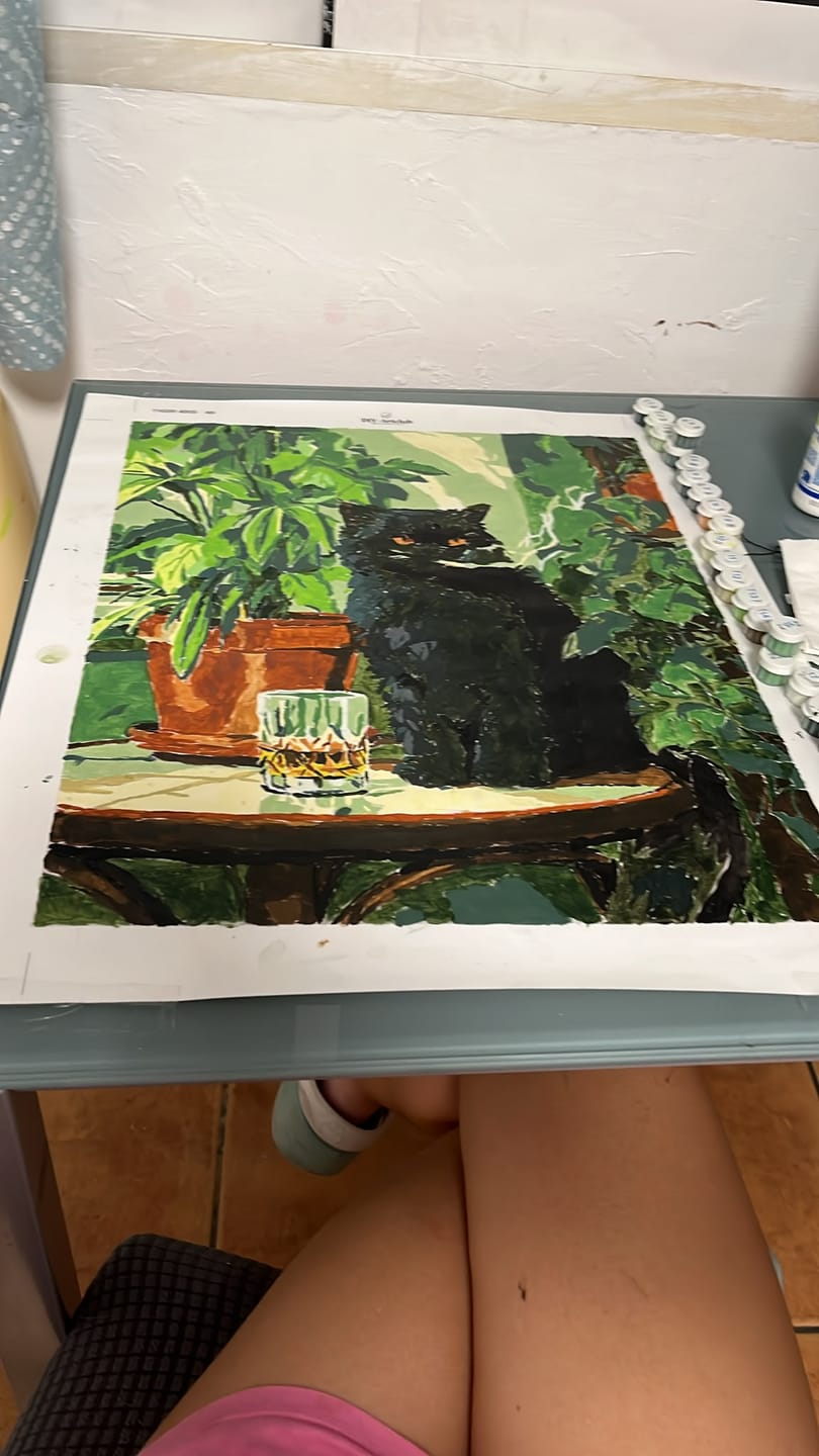 Customer photo review of Grumpy cat | Paint by Number