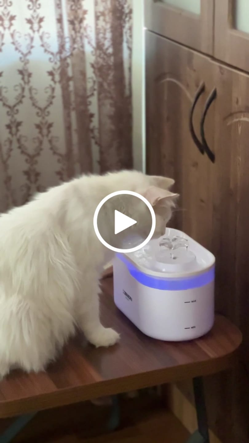 Customer video review of Kedi Su Pınarı | Ultra Sessiz, Wifi, Akıllı, Otomatik, Su Çeşmesi (Beyaz - X8650)