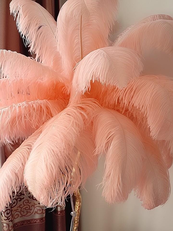 Customer photo review of Floor Lamp, Ostrich Feather Shade, Brass Base, 6x G9, Plug-In
