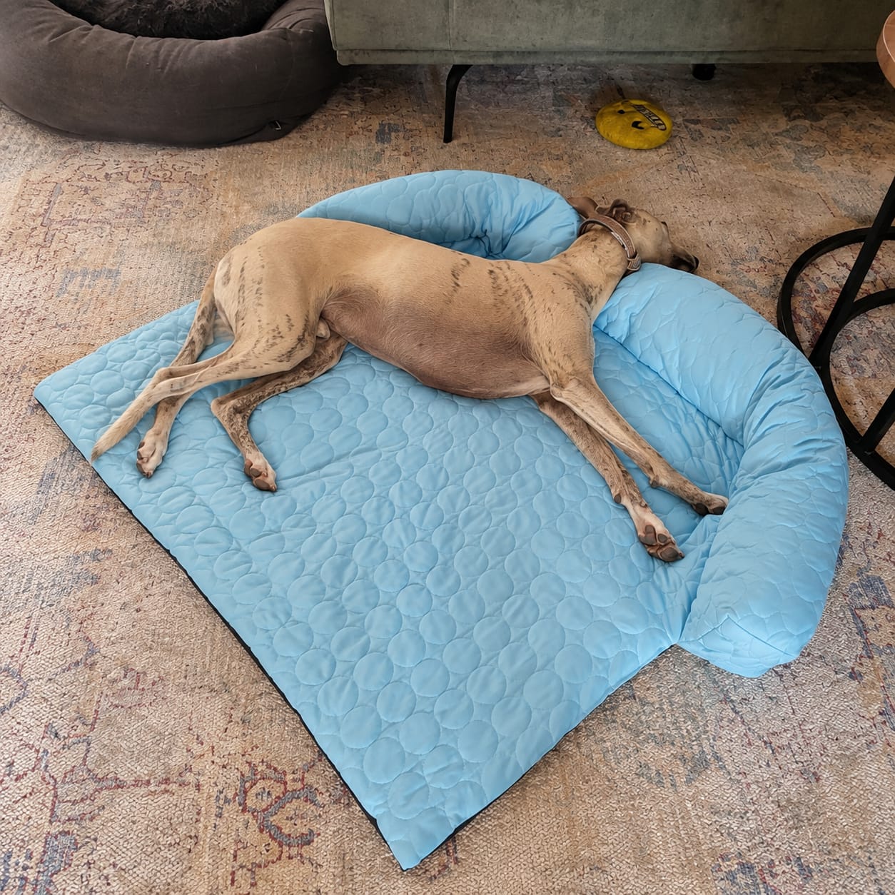 Customer photo review of Luxury Self-Cooling Bed Pawlaro