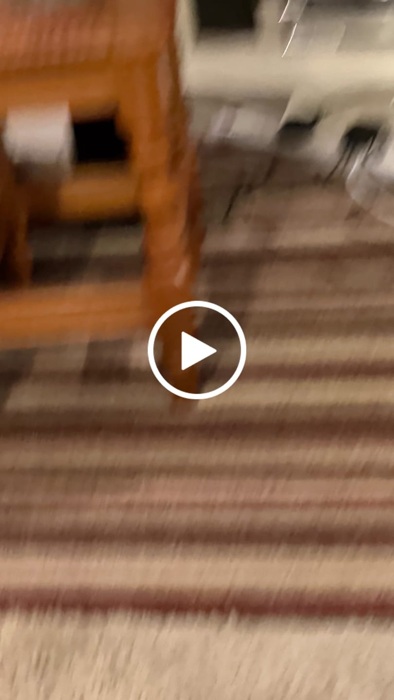 Customer video review of Autumn City Reflections (80 Color Paint by Numbers)