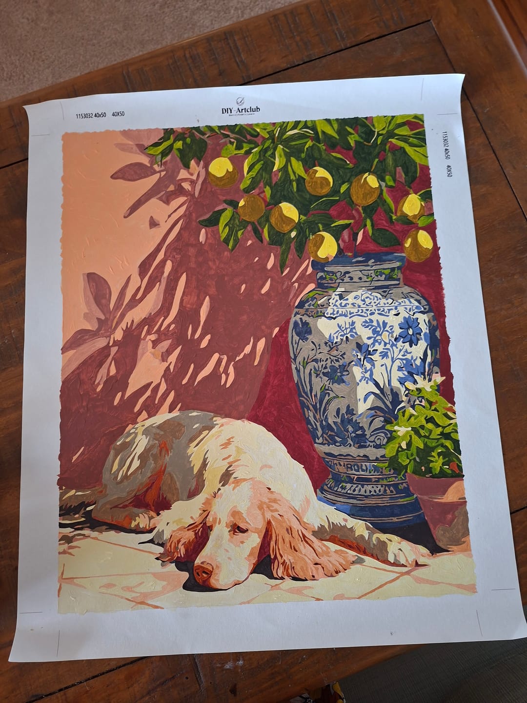 Customer photo review of Siesta | Paint by Number