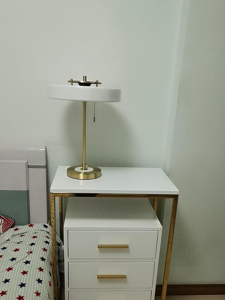 Customer photo review of Revolve Table Lamp, Spun Metal Shade, Opal Diffuser, Iron Base, G9