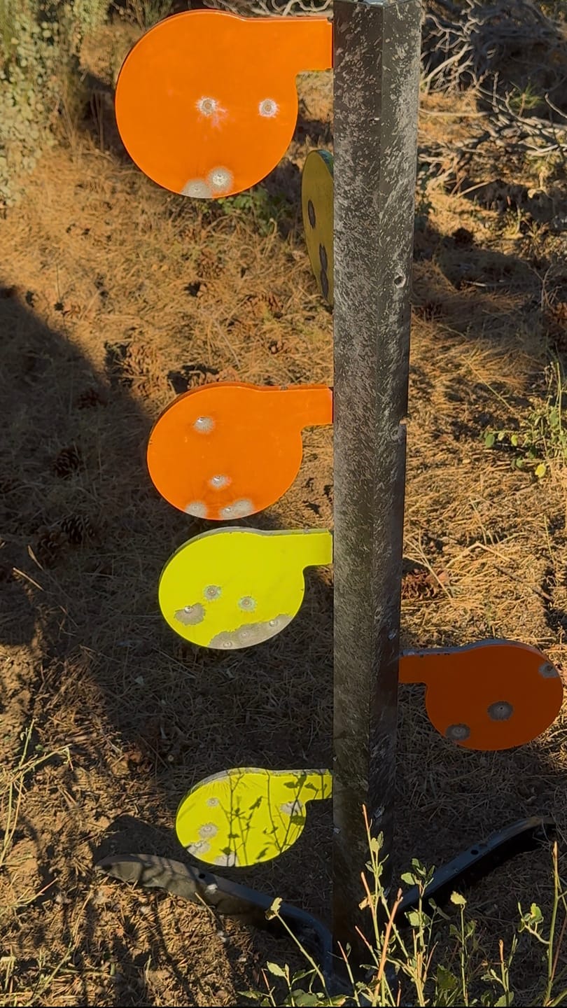 Customer photo review of AR500 Dueling Tree Target Kit - 6" x 3/8" Reactive Shooting Targets with Stand