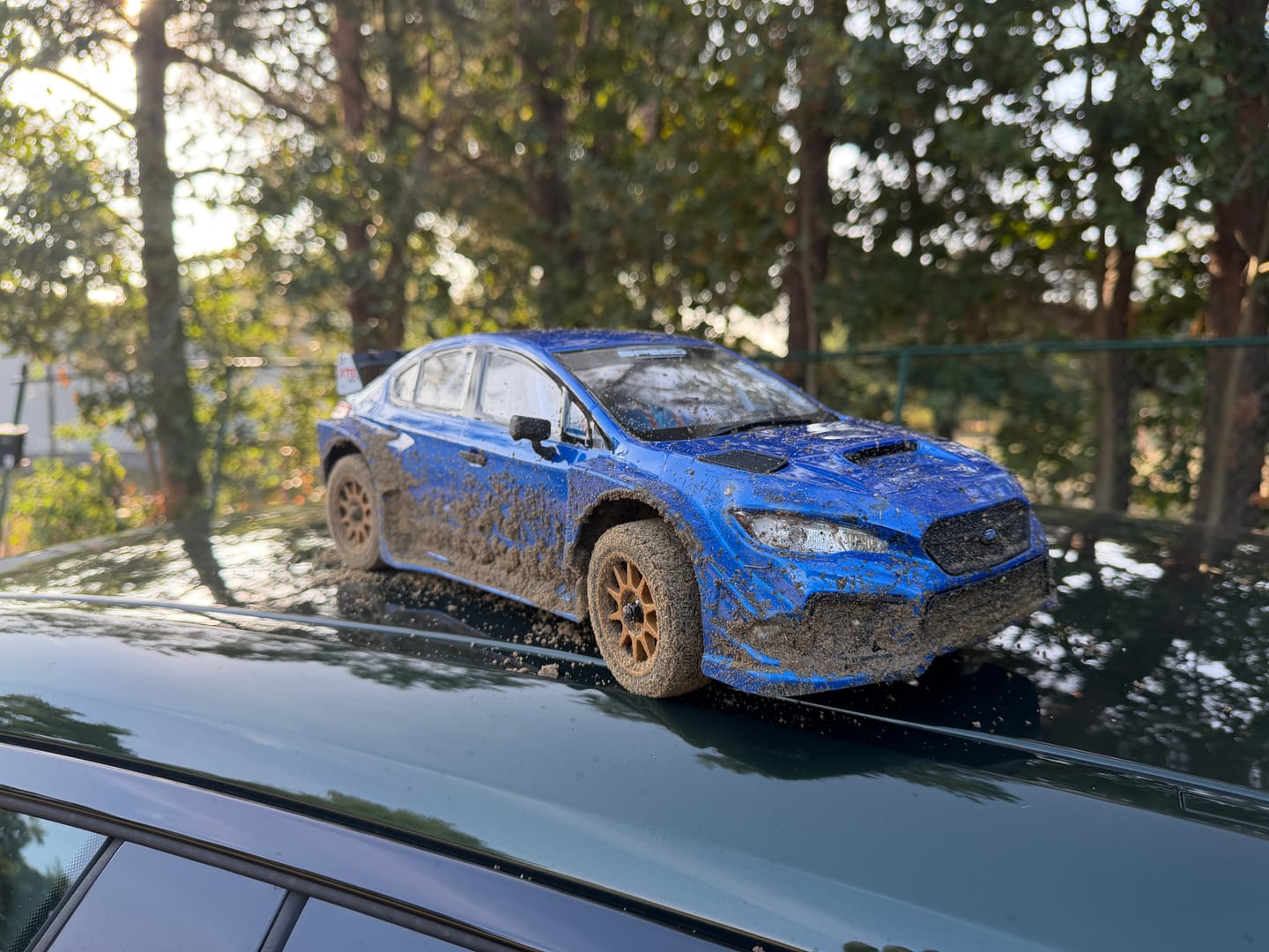 Customer photo review of 1/10 Scale RTR 4WD Carbon Fiber Brushless RC Rally Car | XTS-S10