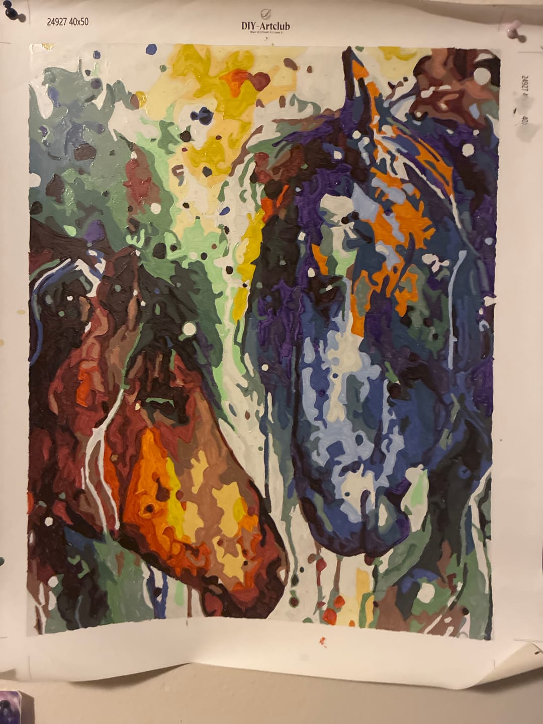 Customer photo review of Two Colorful Horses | Paint by Numbers