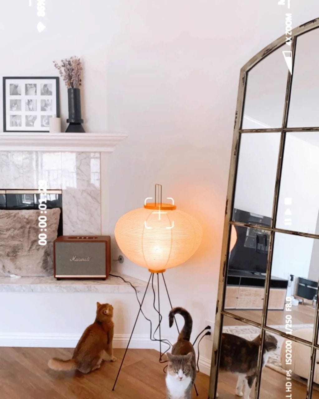 Customer photo review of Floor Lamp, Rice Paper Shade, E26/E27, Plug-In, Sculptural