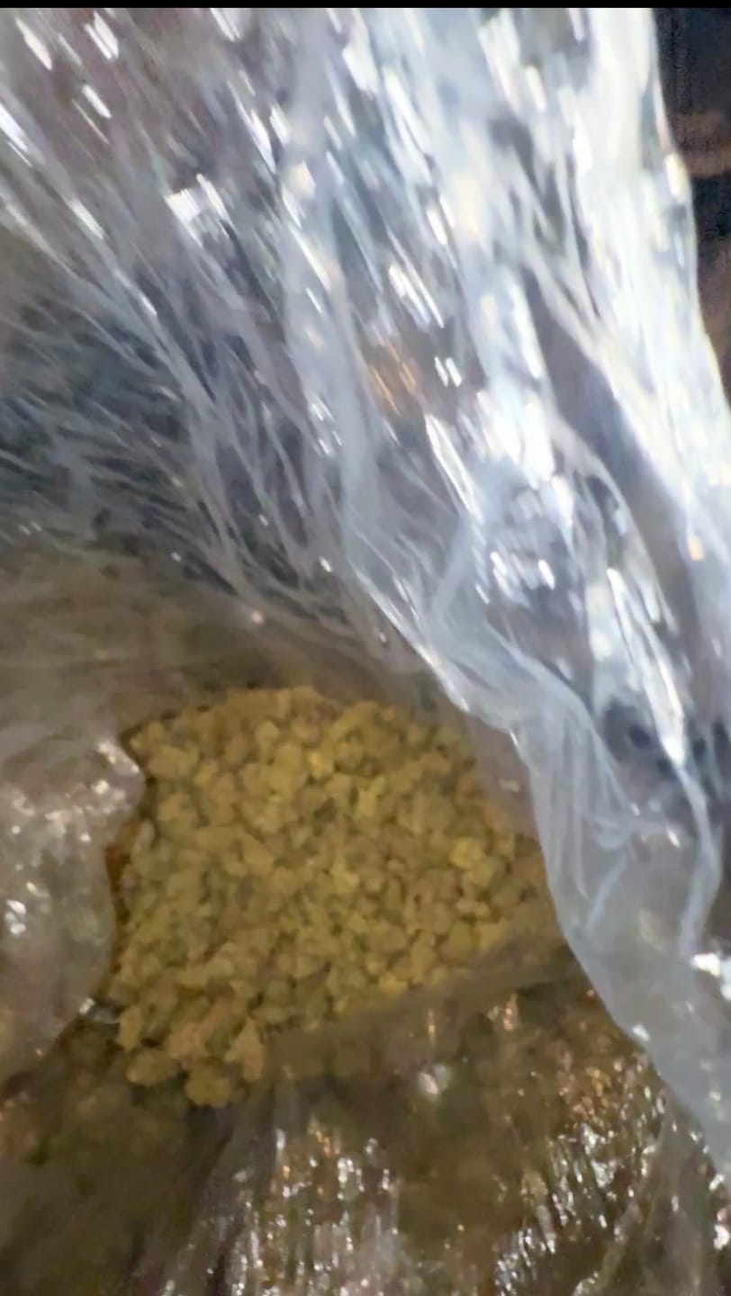 Customer photo review of Gary Cherry Mediums - Bulk Mediums - Indica