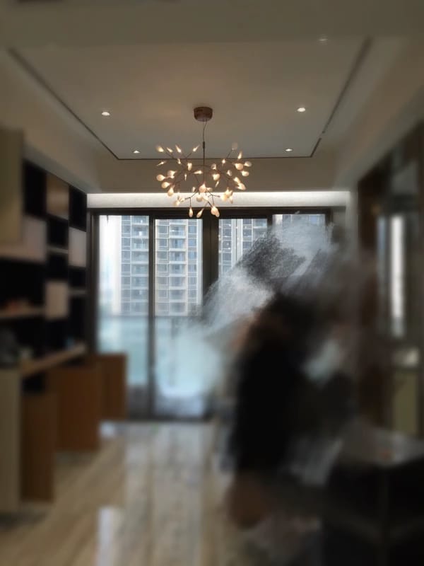 Customer photo review of Firefly LED Chandelier, Black Branch Design, Dimmable, 30-135 Heads