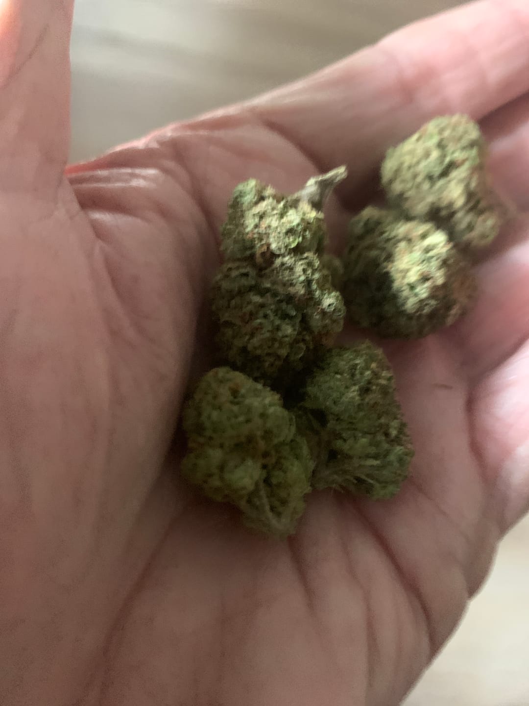 Customer photo review of White Rhino THCA Flower
