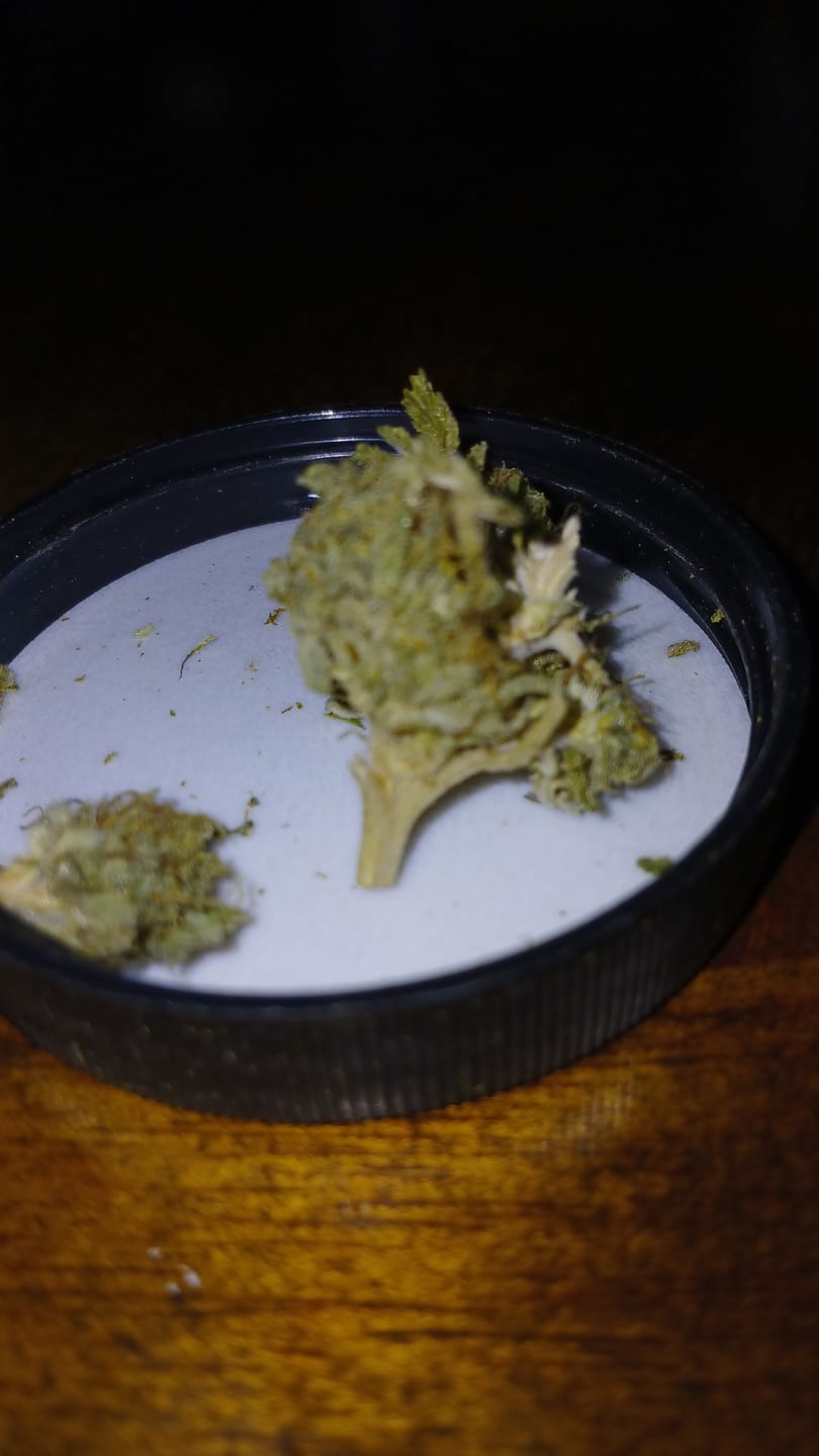 Customer photo review of Acapulco Gold THCA Flower
