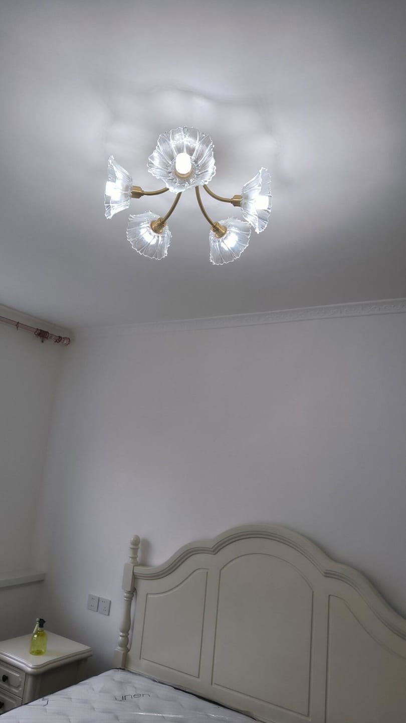 Customer photo review of Ceiling Light, Frosted Leaf Glass Shades, Gold, E27, Lotus Leaf