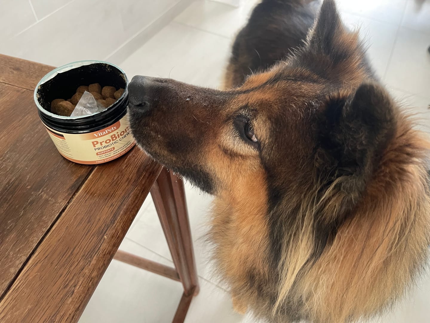 Customer photo review of ProBiome™狗狗益生菌軟粒