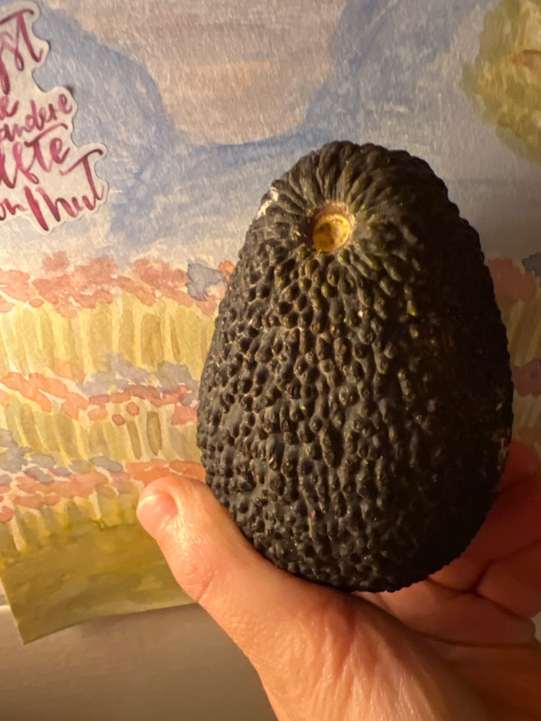 Customer photo review of Avocado Hass 15 Monate baumgereift von Julian
