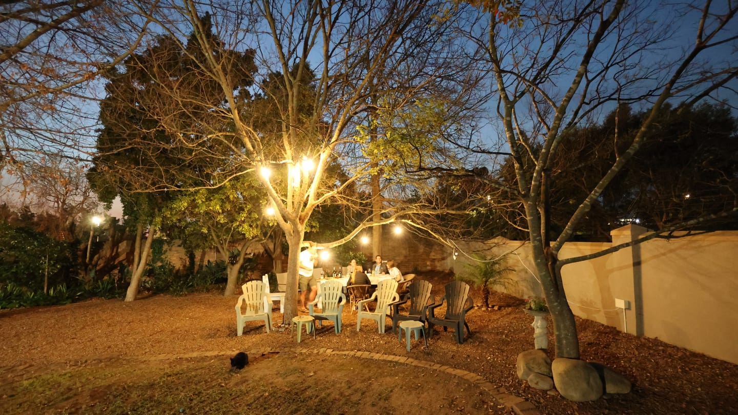 Customer photo review of Plug-In Festoon Bulb String Lights