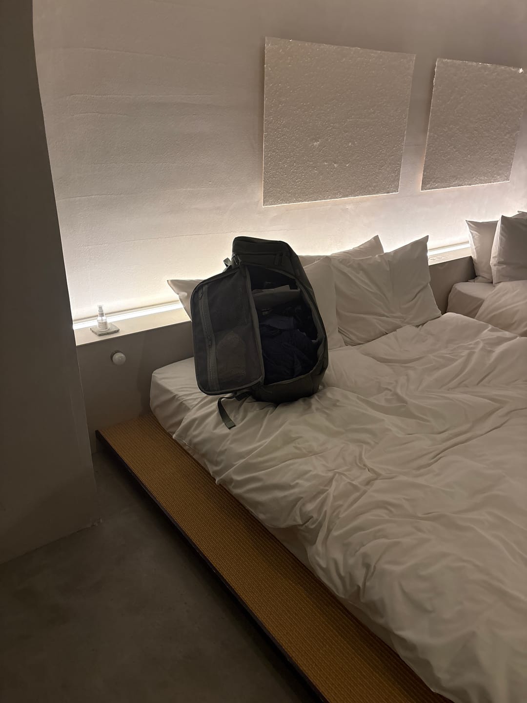 Customer photo review of The Organizer 40L