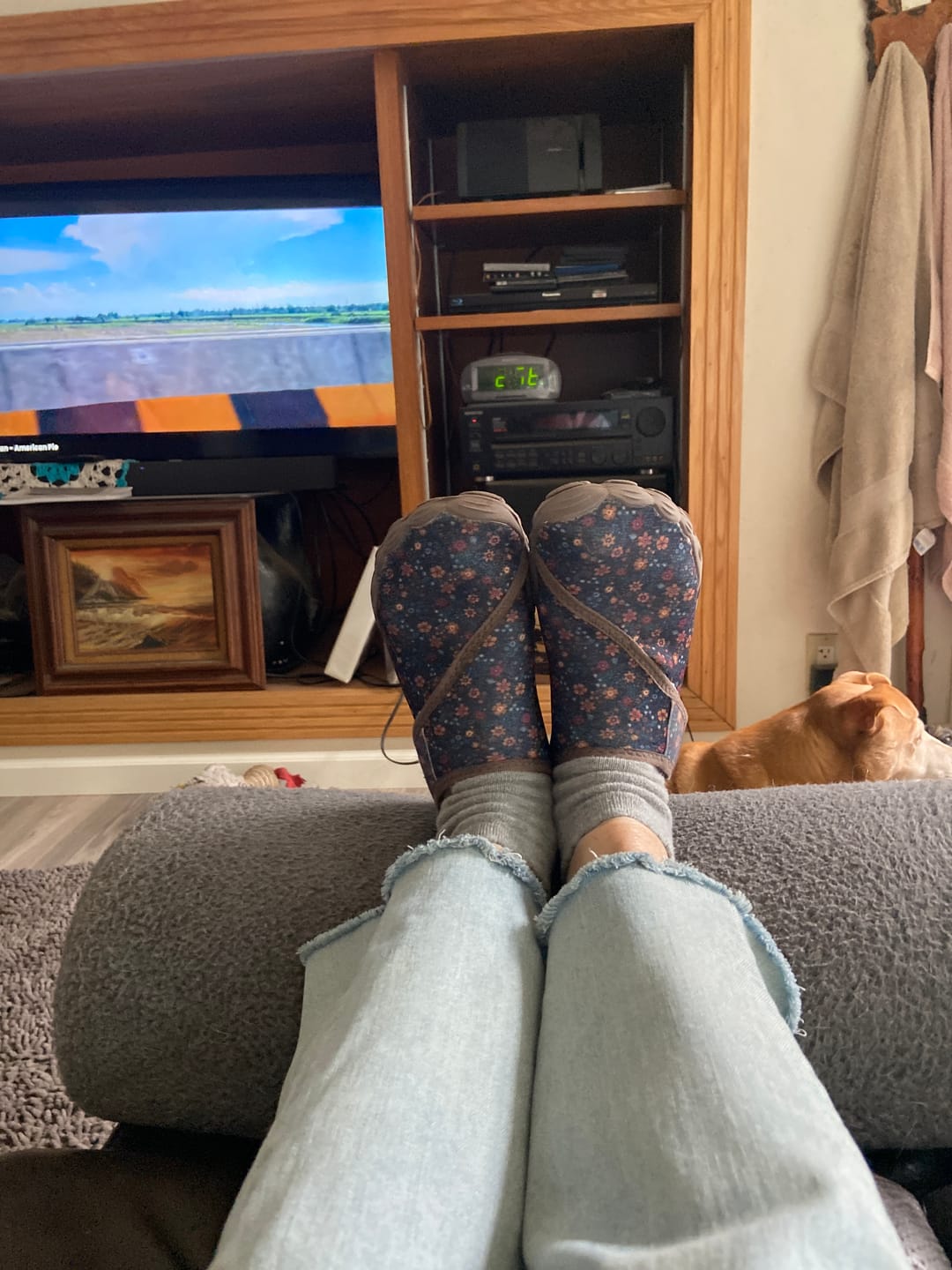 Customer photo review of Solyn-BOGO