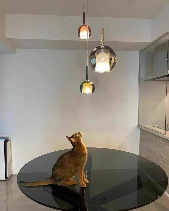 Customer photo review of Glo Pendant Light, Tinted Blown Glass Globe, G4 LED, Dimmable