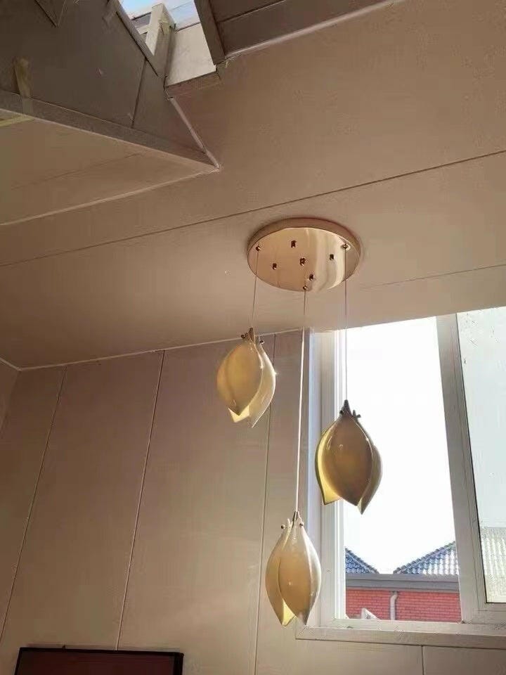 Customer photo review of Pendant Light, Ceramic Flower Shades, Brass & White, G9 LED