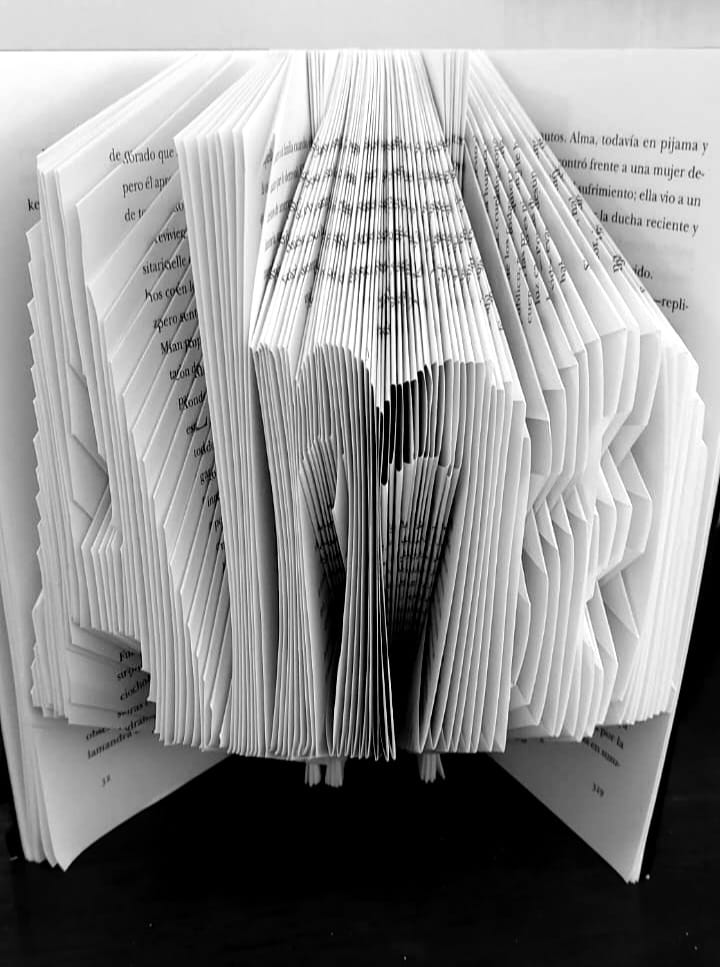 Customer photo review of TALLER BOOKFOLDING  ... TRANSFORMANDO LIBROS EN ARTE  BY OLGA CARTONERA