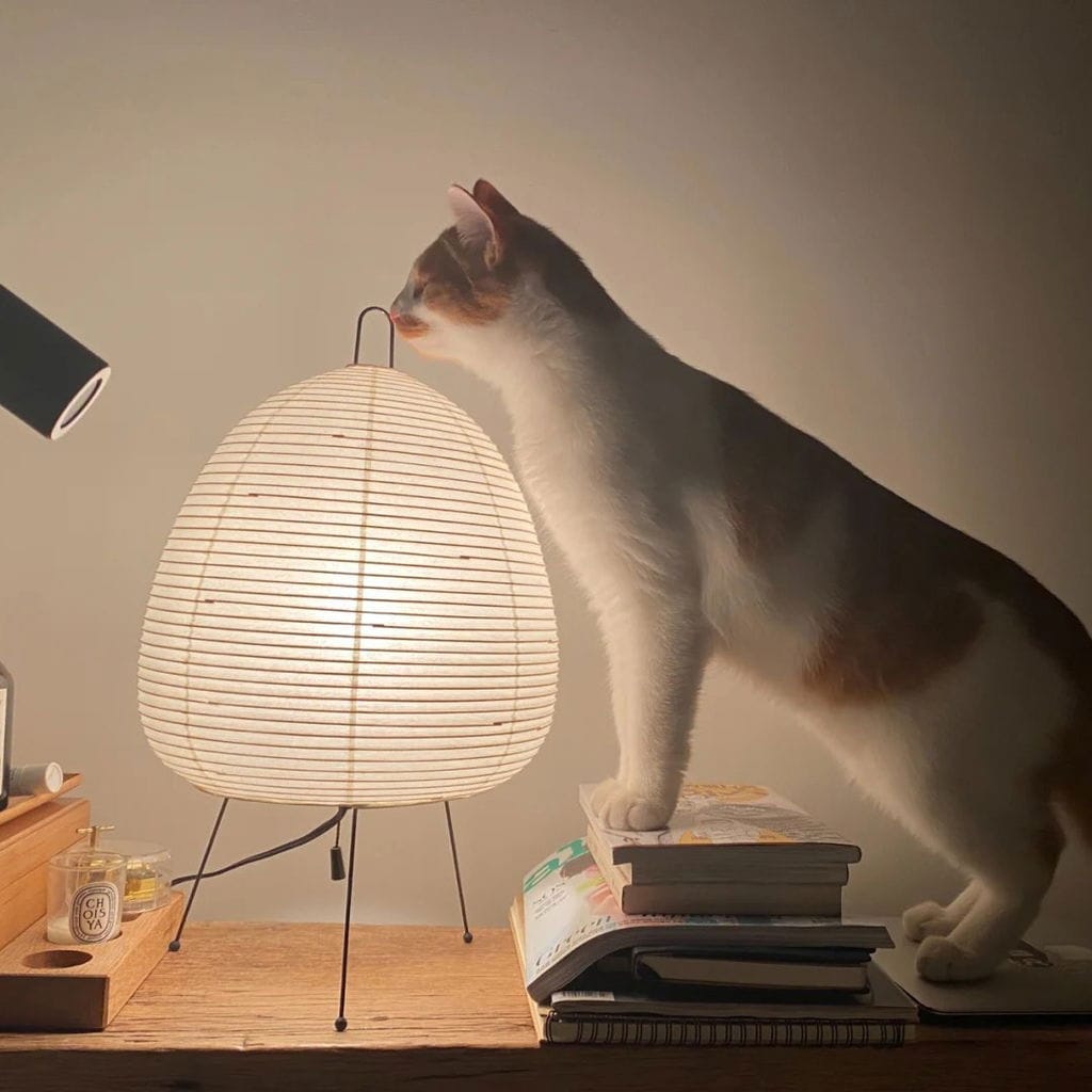 Customer photo review of Table Lamp, Xuanzhi, Handmade Mulberry Paper Shade, E26/E27, Plug-In