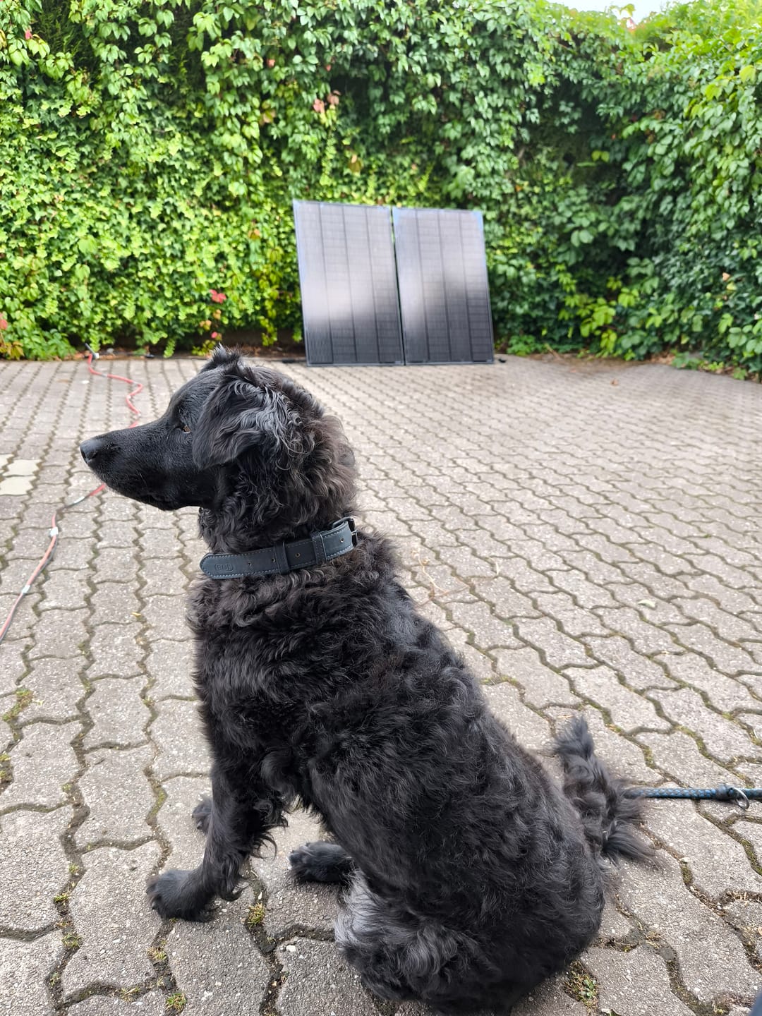 Customer photo review of Ray 200W Solarmodul Komplett Schwarz