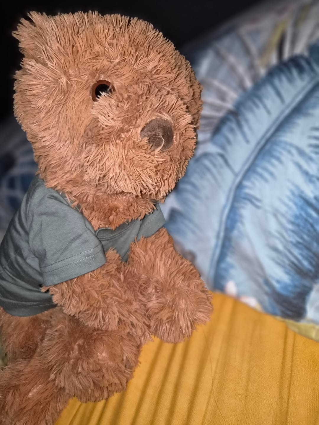 Customer photo review of Verzwaringsknuffel Teddy Beer 2,2 kg