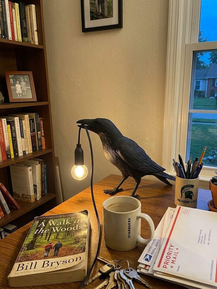 Customer photo review of Table Lamp, Raven Resin Sculpture, E14 Edison Bulb, White or Black
