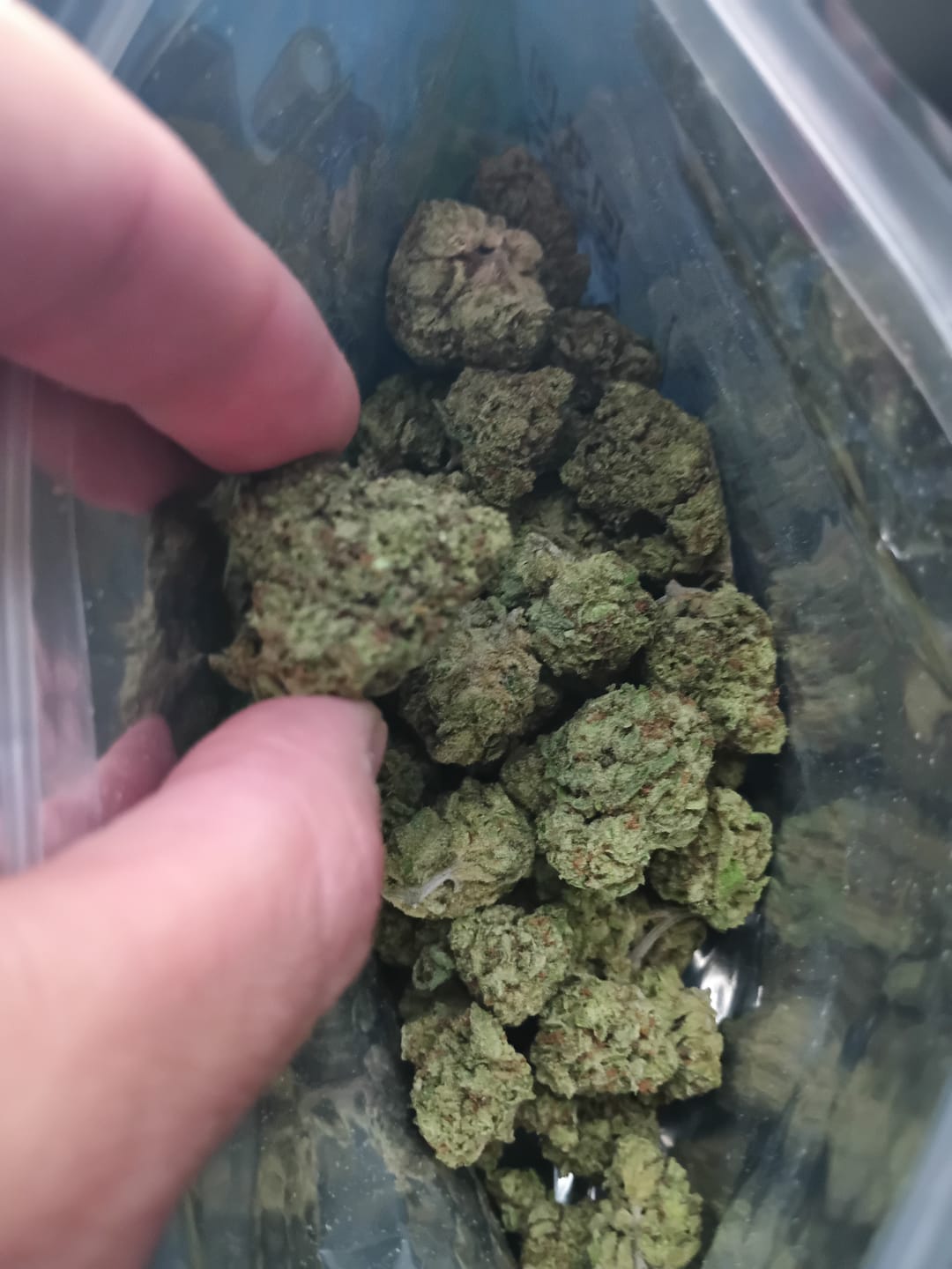 Customer photo review of Strawberry Cough THCA Flower