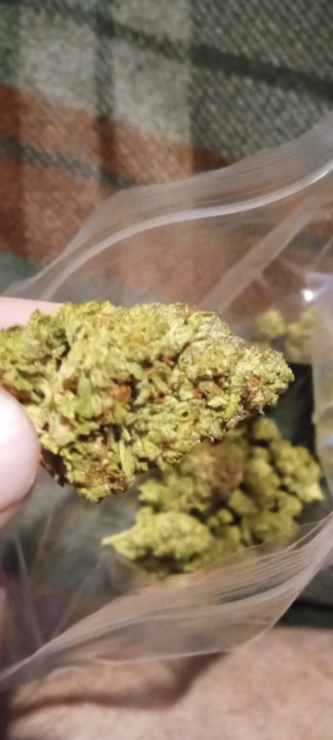 Customer photo review of Sour Tangie THCA Flower