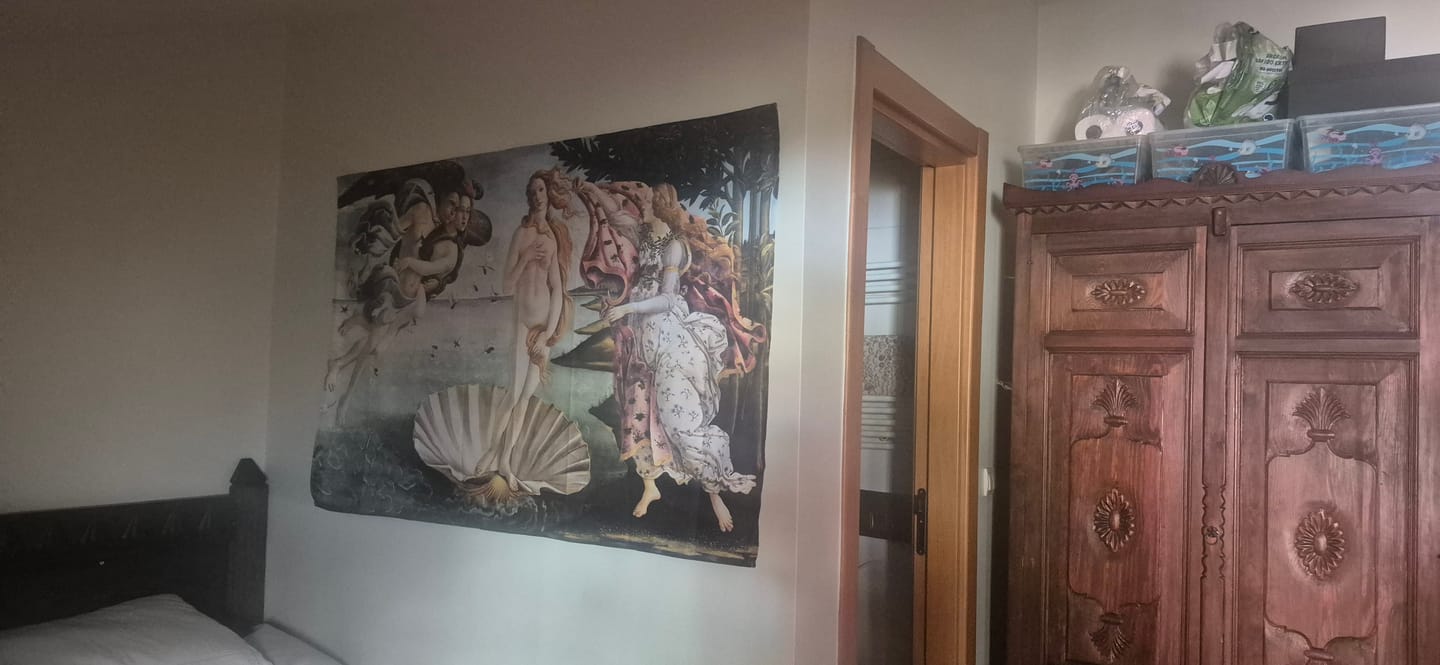 Customer photo review of The Birth of Venus Duvar Örtüsü