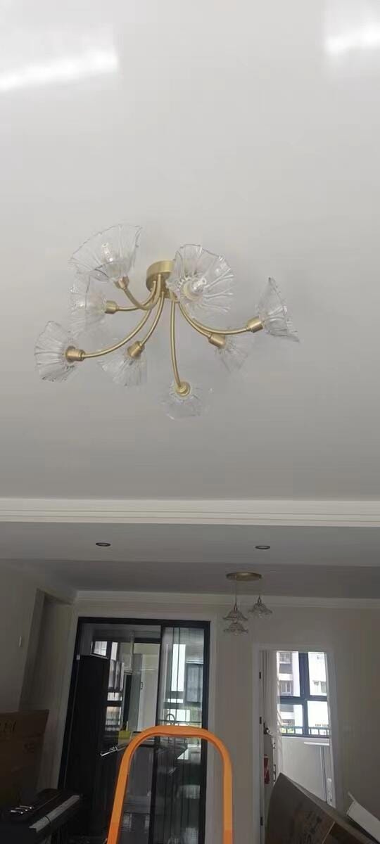 Customer photo review of Ceiling Light, Frosted Leaf Glass Shades, Gold, E27, Lotus Leaf