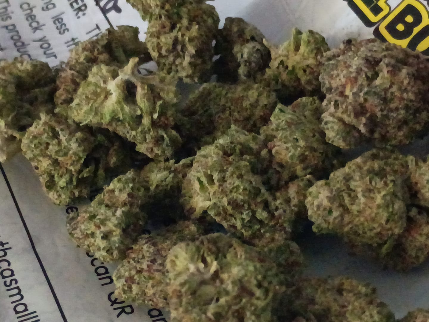 Customer photo review of Kinglato THCA Flower