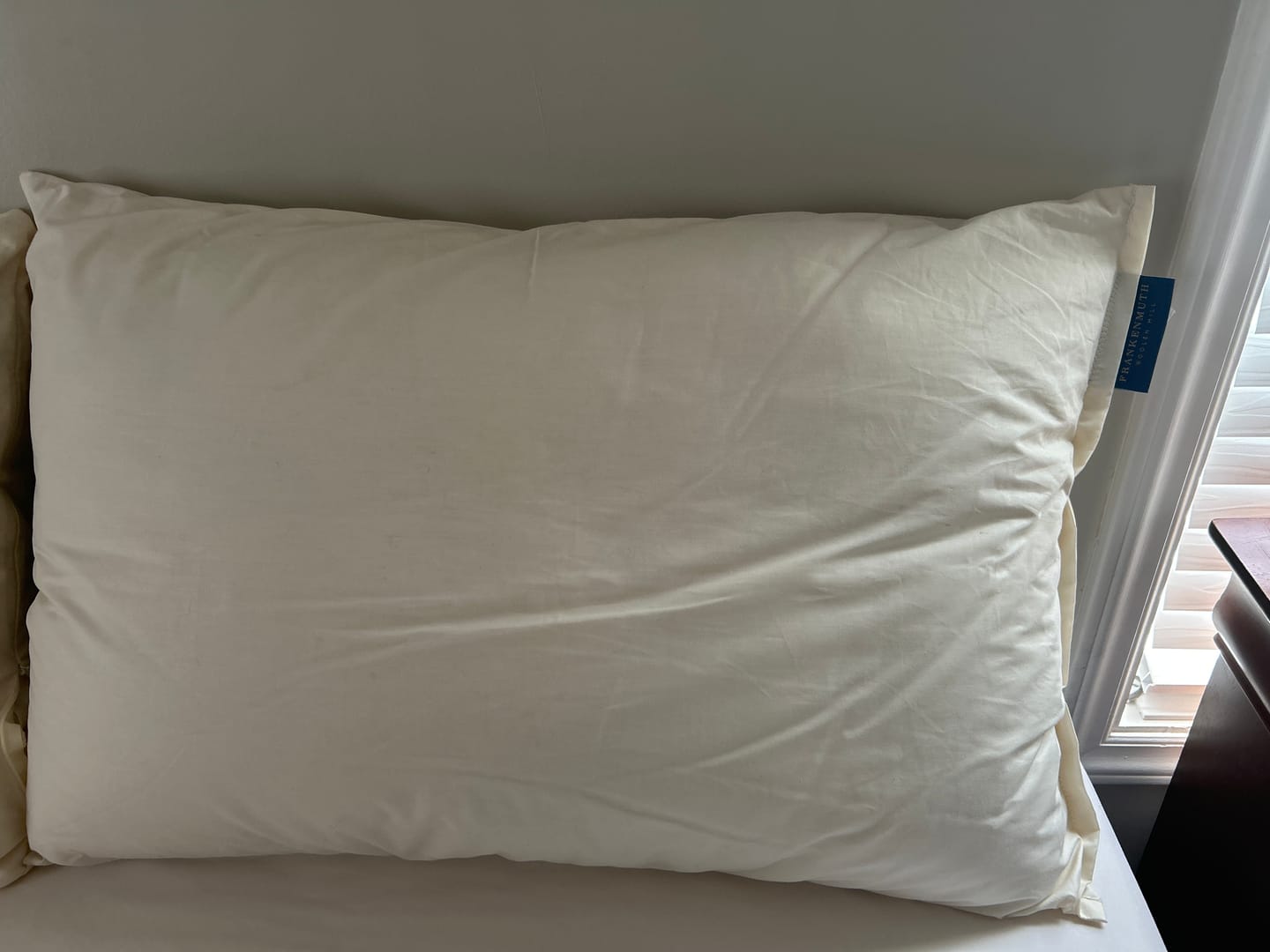 Customer photo review of Wool Pillow