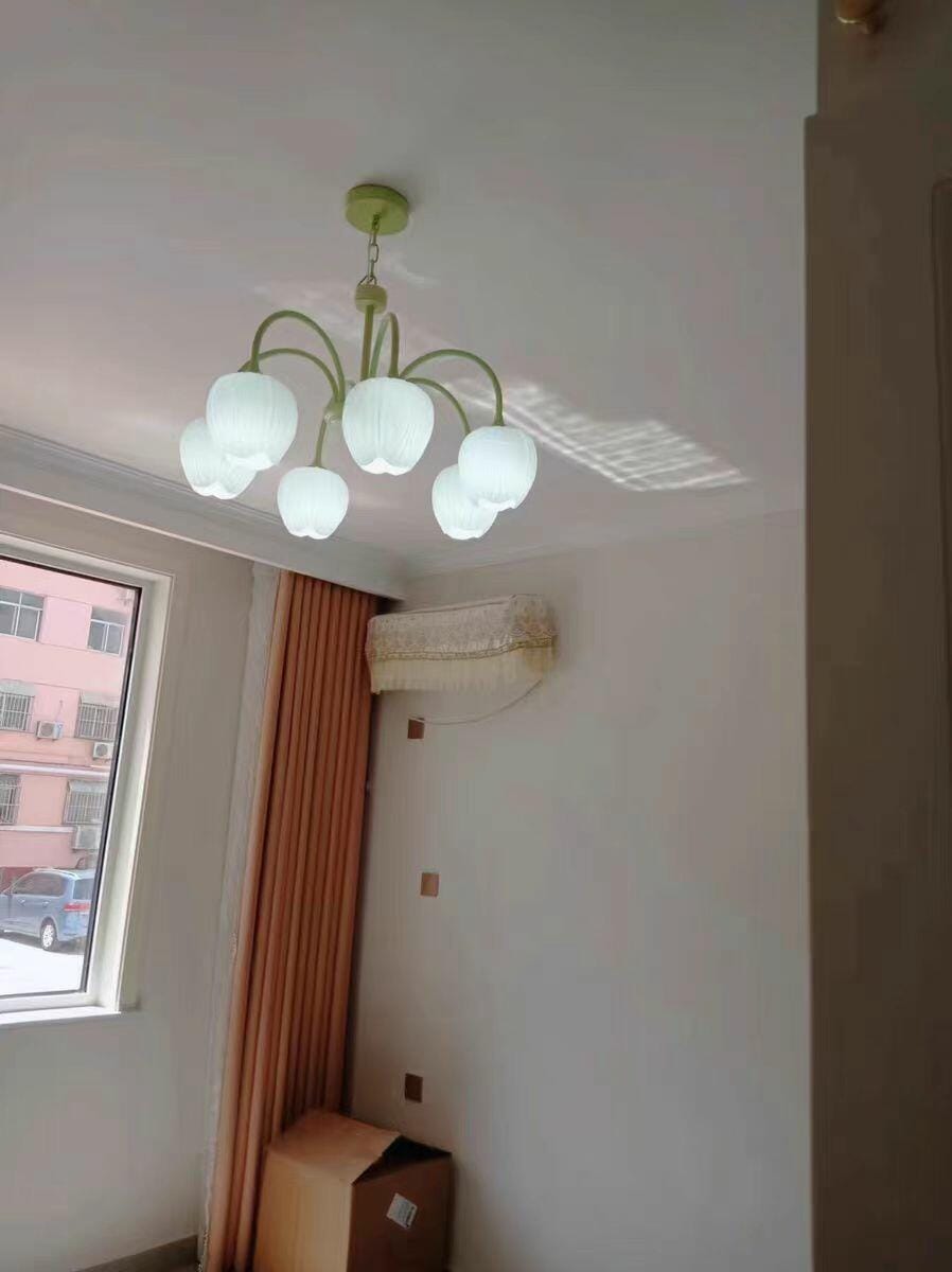 Customer photo review of Tulip Chandelier, White Glass Tulip Shades, Matcha Green Frame, E26