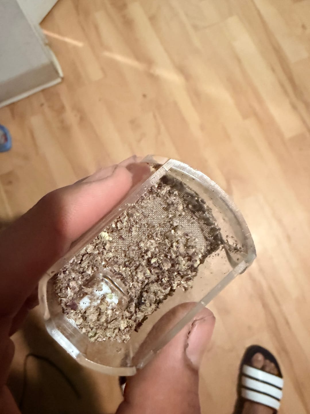 Customer photo review of Pink Runtz - Minis - Indoor - 14 Grams - Hybrid