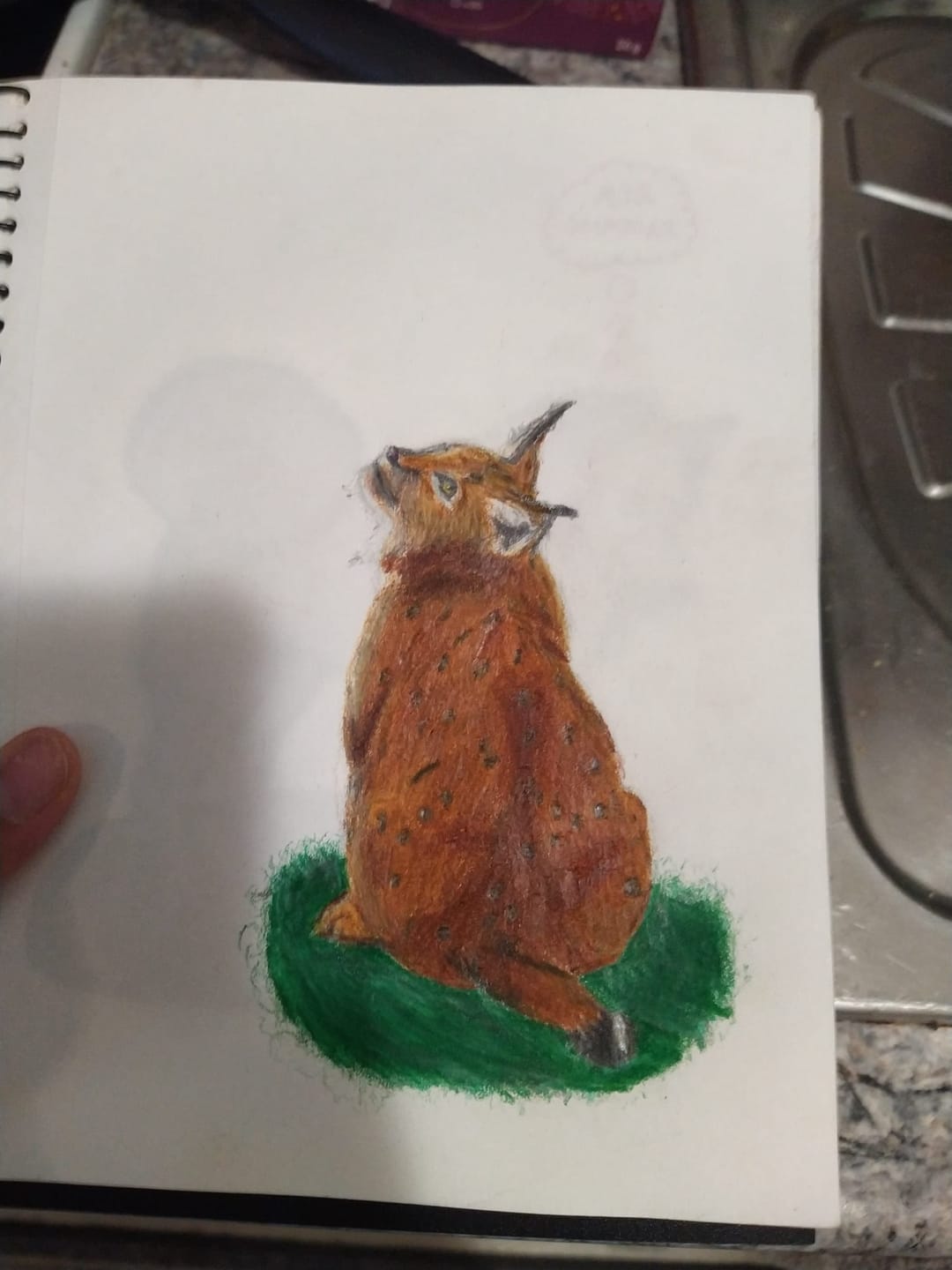 Customer photo review of Ohuhu Honolulu 216 Colors Dual Tips Alcohol Art Markers (New Color Codes)