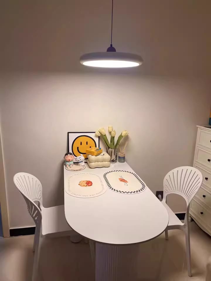 Customer photo review of Pendant Light, Acrylic Disc Shade, Integrated LED, Plug-In Swag