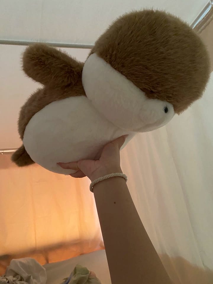 Customer photo review of Sally Seal