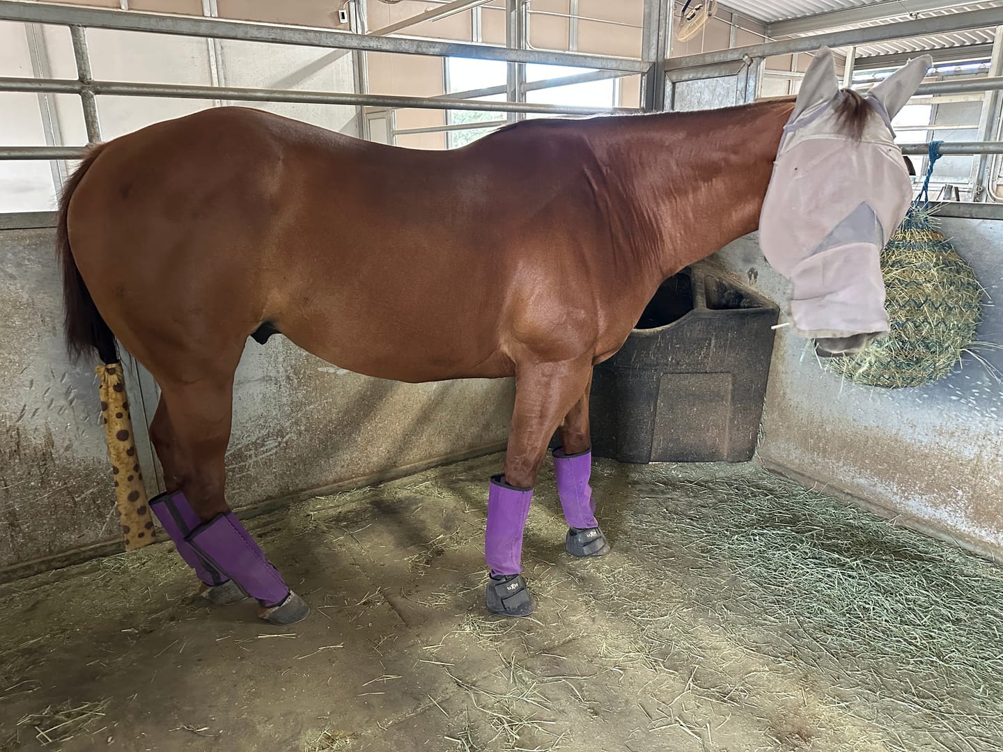 Customer photo review of The FlyBlock Boots