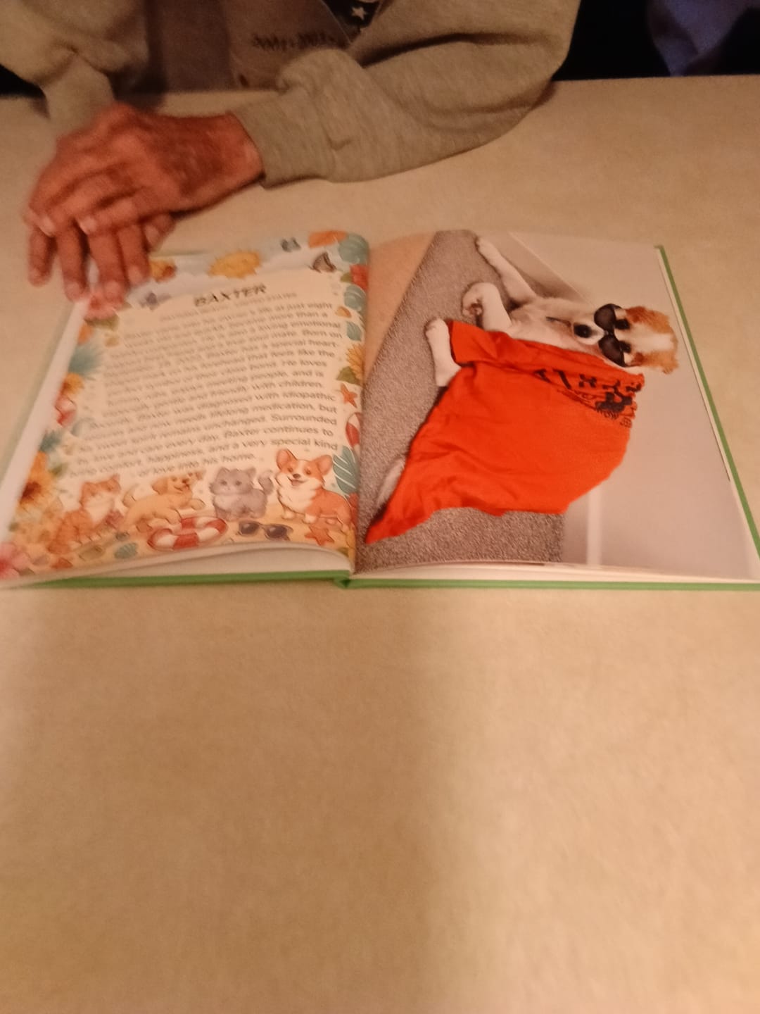 Customer photo review of Cutest Pets of Pupvote Summer 2026