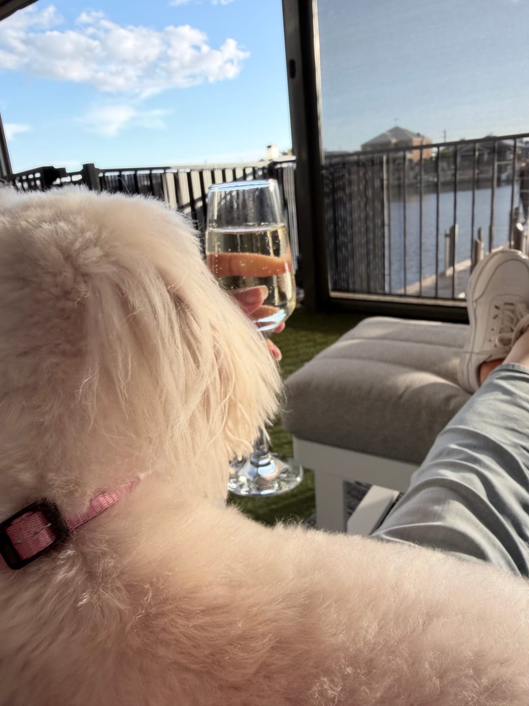 Customer photo review of Low Sugar Prosecco – Australian Sparkling Wine | 6 Pack