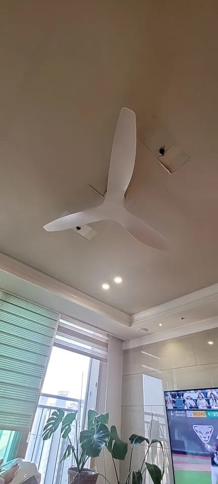 Customer photo review of Home Retro Ceiling Fan – 45/52 Inch DC Motor with Remote