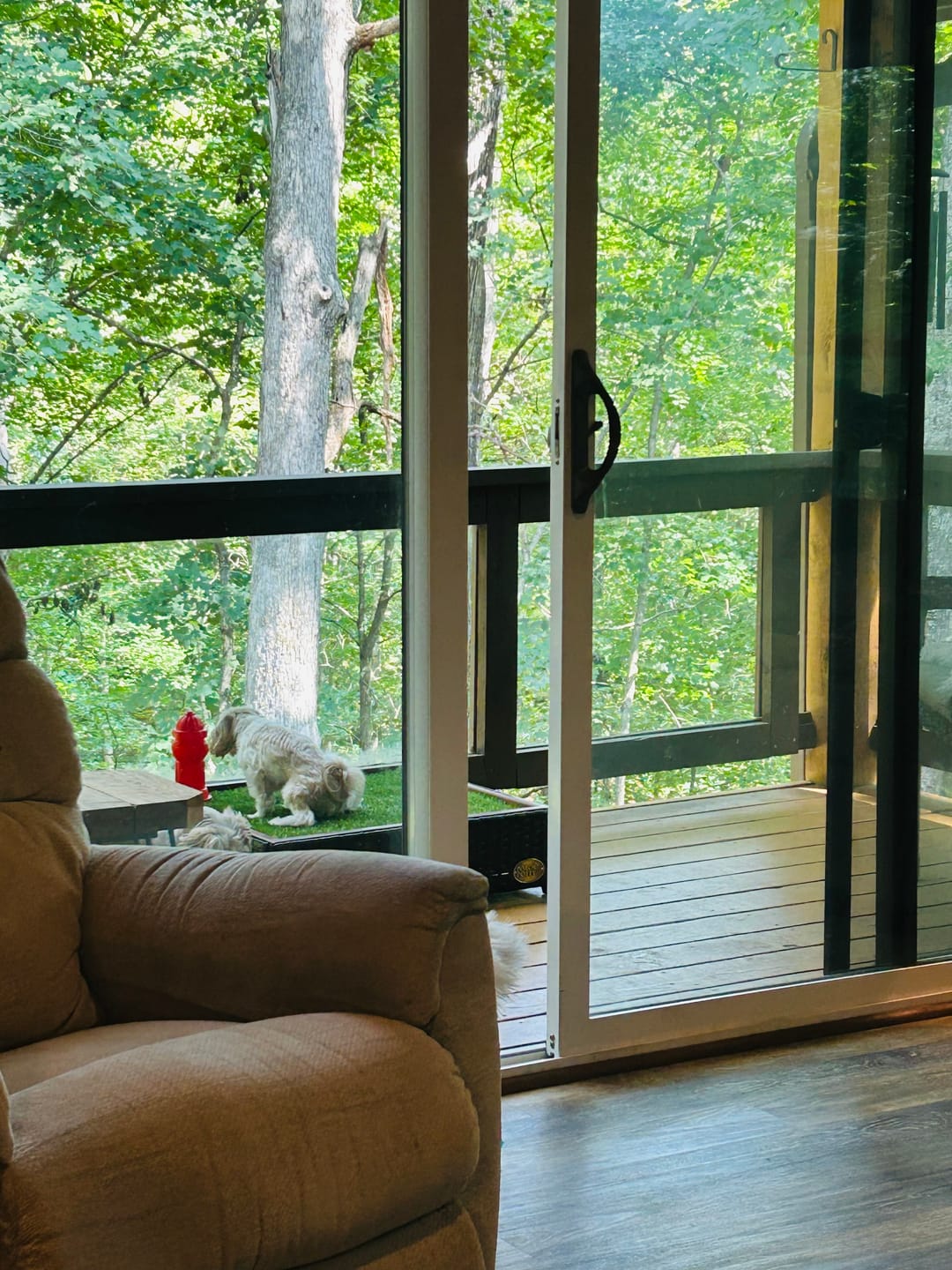 Customer photo review of Porch Potty SMALL
