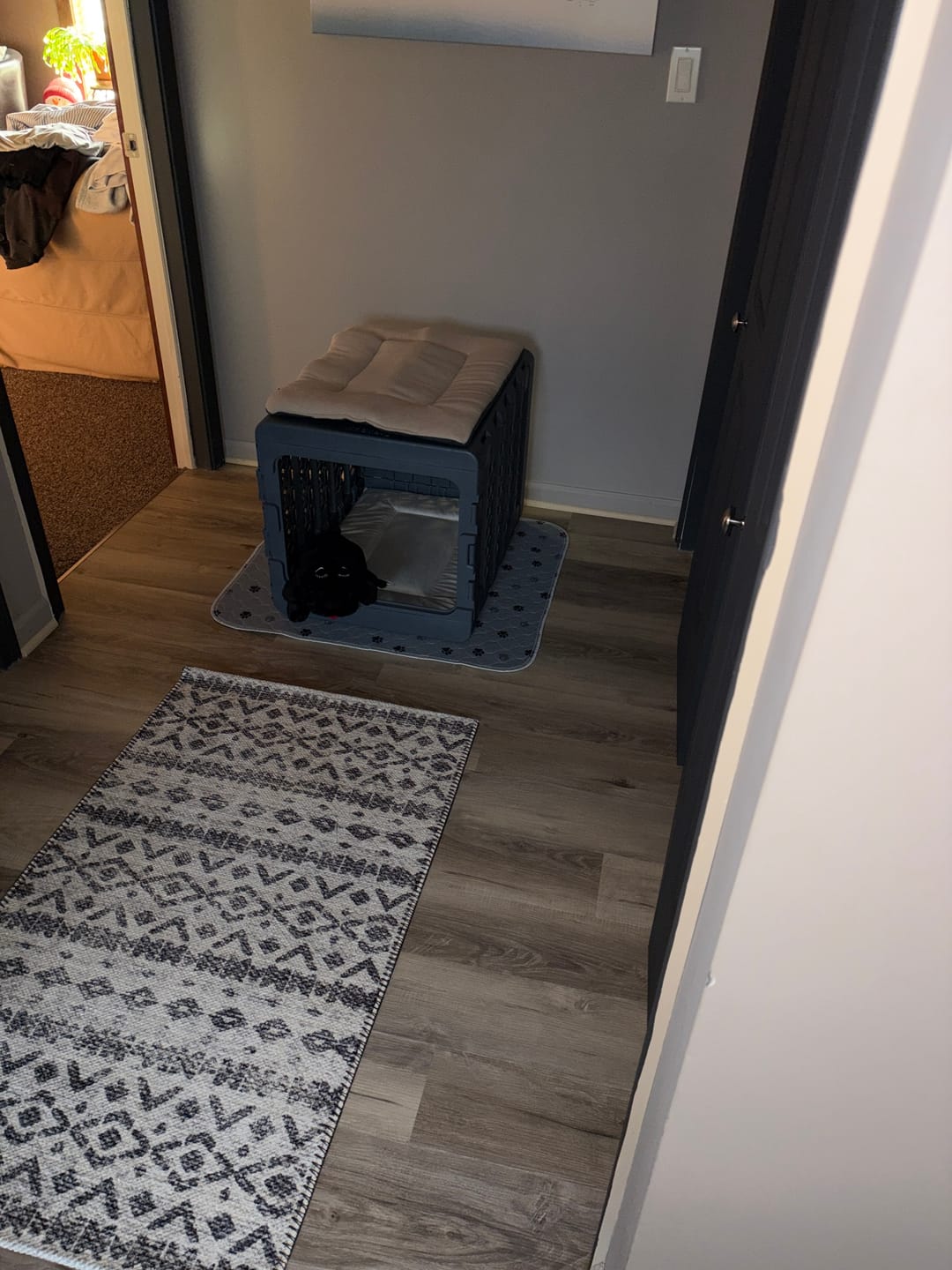 Customer photo review of PAWD Crate Pad & Dog bed